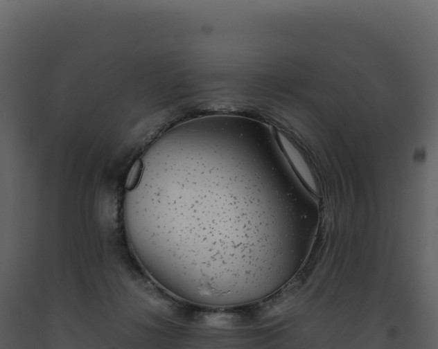 X0000093490268200710191234