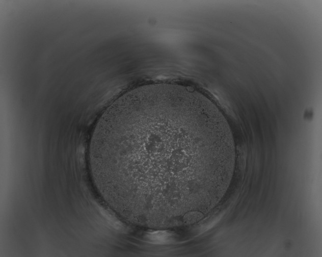 X0000093490269200710191234