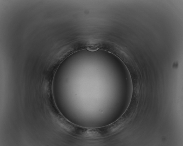 X0000093490270200710191234