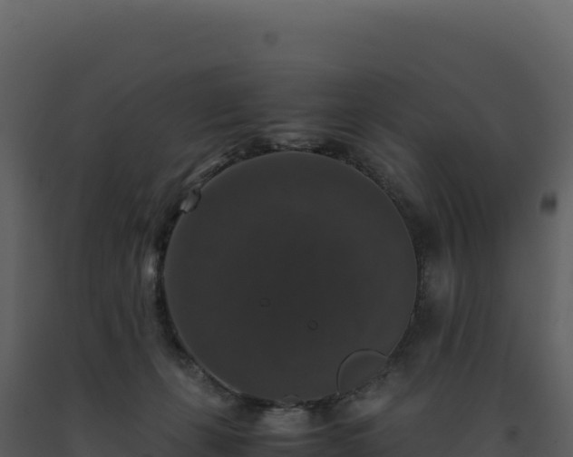 X0000093490271200710191234