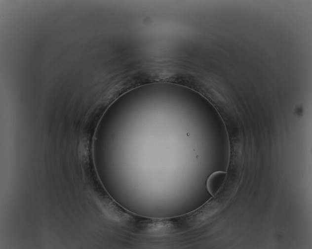 X0000093490274200710191234