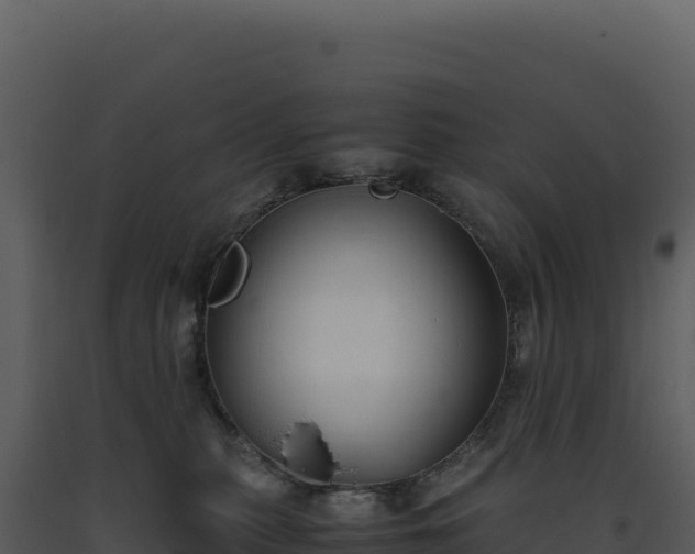 X0000093490279200710191234