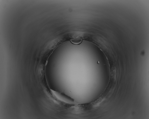 X0000093490280200710191234