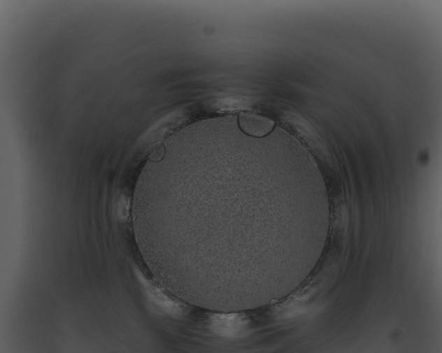 X0000093490281200710191234