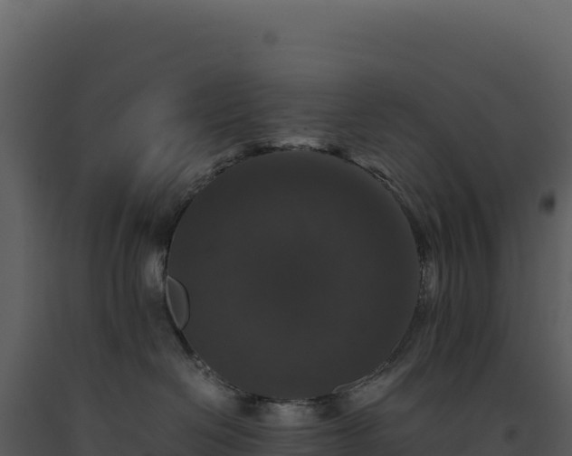 X0000093490286200710191234