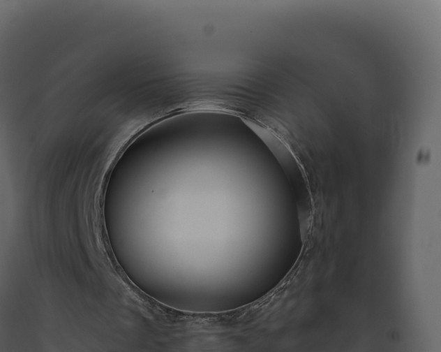 X0000093490289200710191233