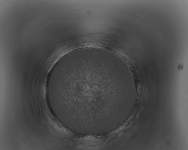 X0000093490290200710191233