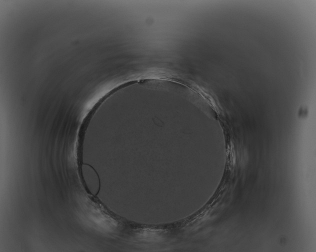 X0000093490292200710191233