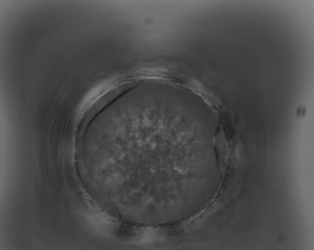 X0000093490293200710191233