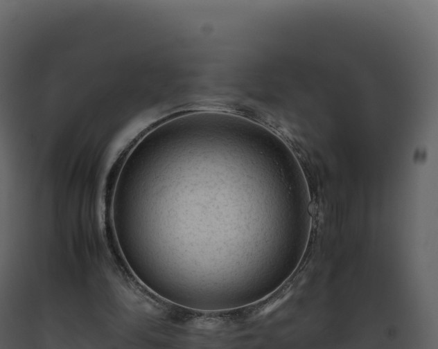 X0000093490294200710191233