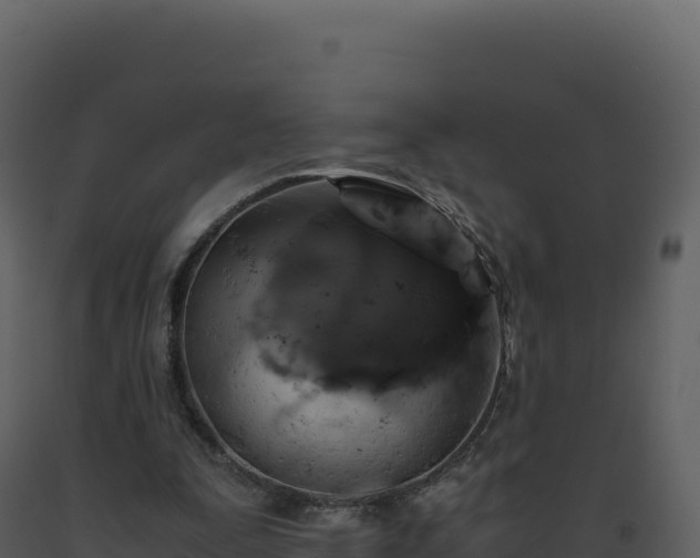 X0000093490295200710191233