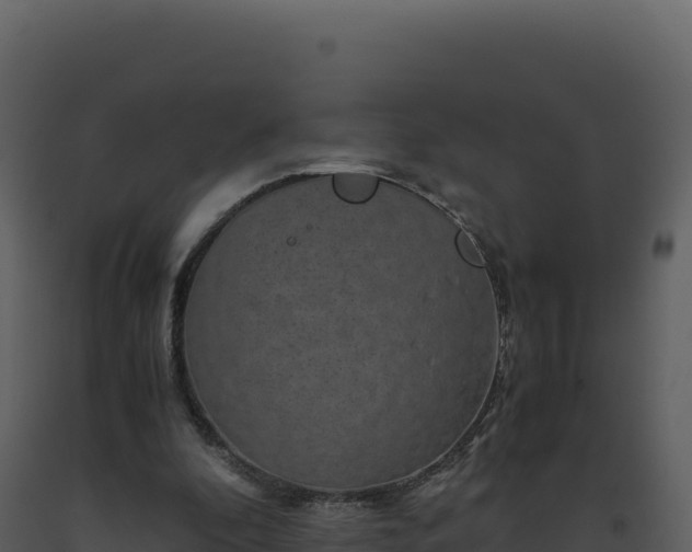 X0000093490296200710191233