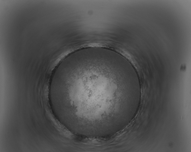 X0000093490297200710191233