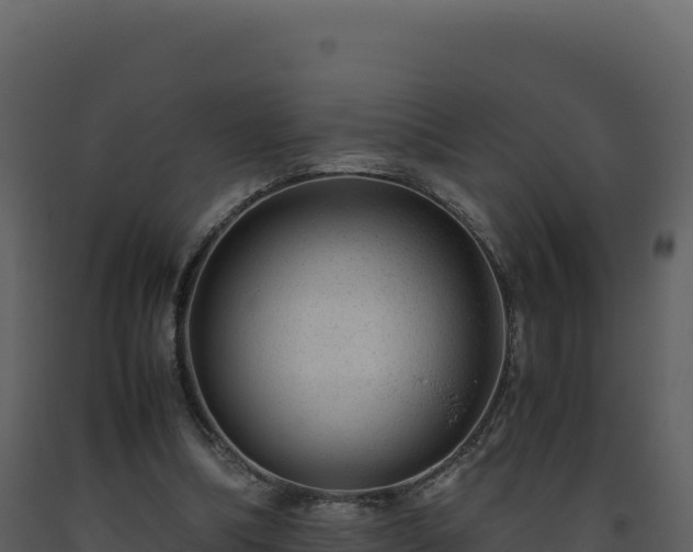 X0000093490298200710191233