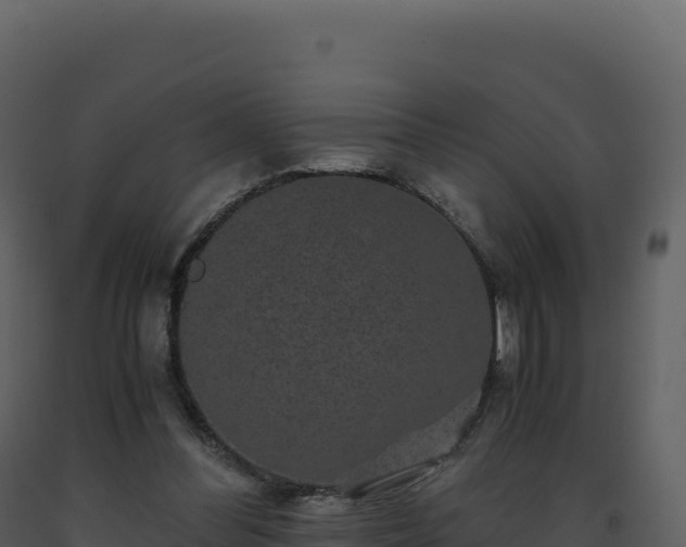 X0000093490300200710191233