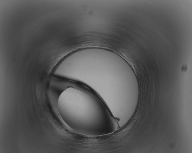 X0000093490301200710191233