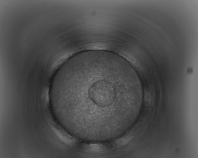 X0000093490302200710191233