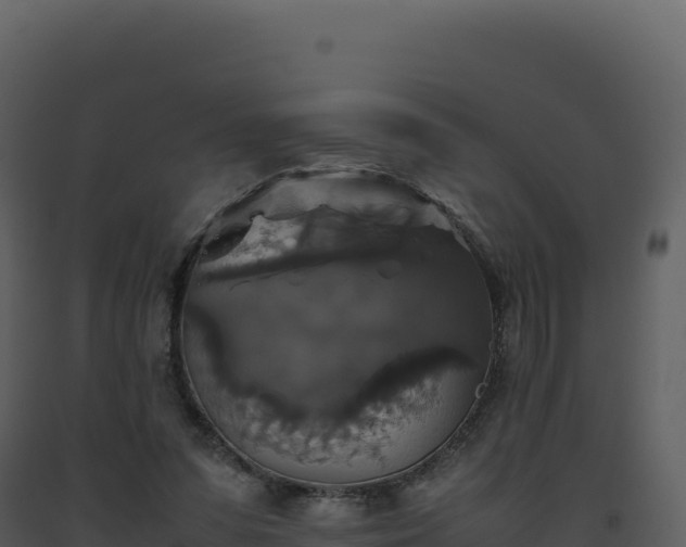 X0000093490303200710191233