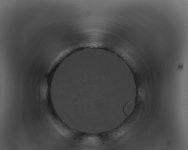 X0000093490304200710191233