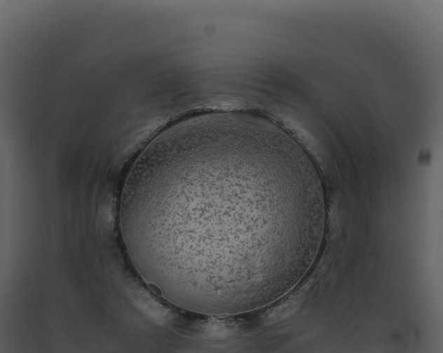 X0000093490305200710191233