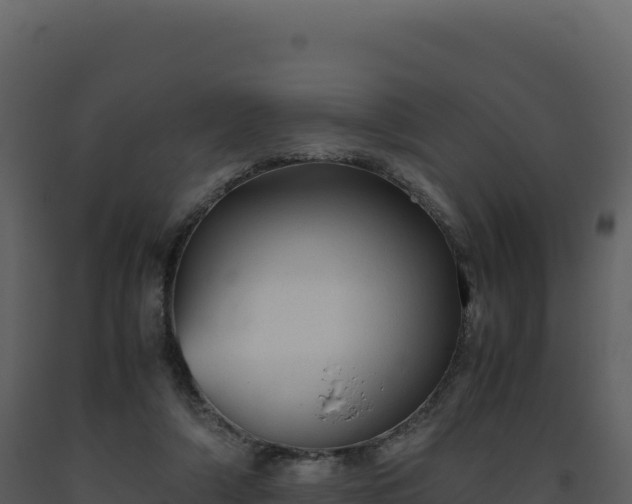 X0000093490306200710191233