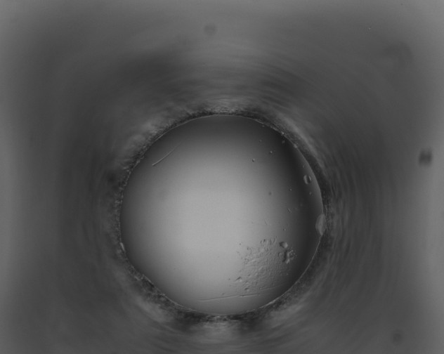 X0000093490307200710191233