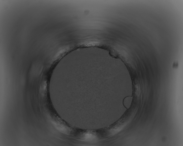 X0000093490308200710191233