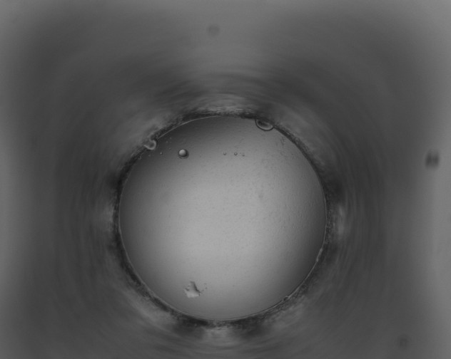 X0000093490309200710191233