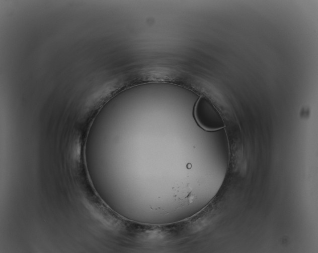 X0000093490310200710191233