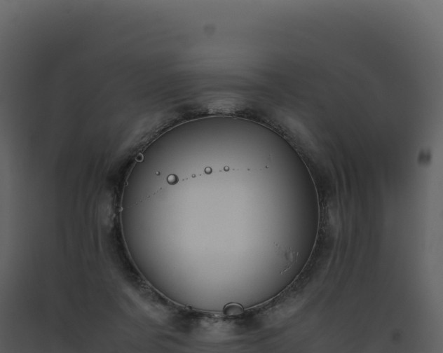 X0000093490311200710191233