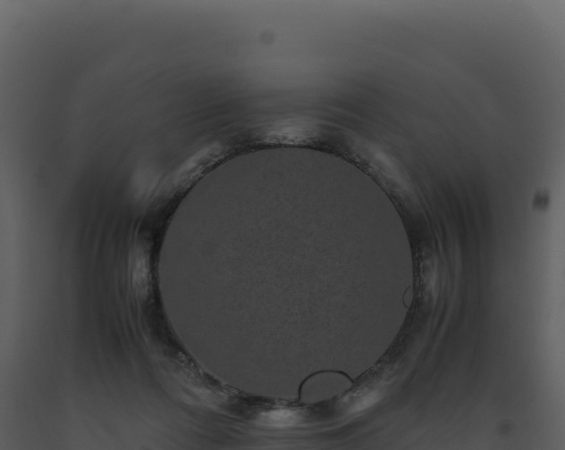 X0000093490312200710191233