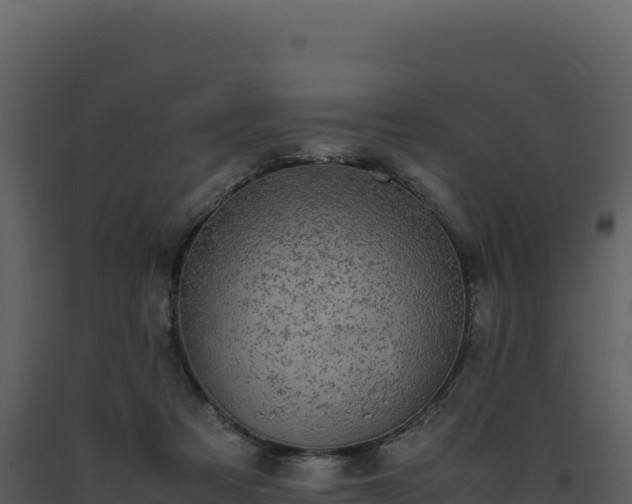 X0000093490313200710191233