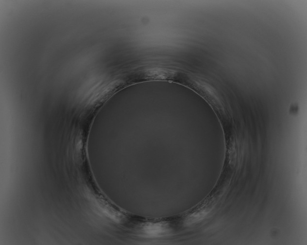 X0000093490314200710191233