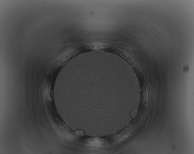 X0000093490316200710191233