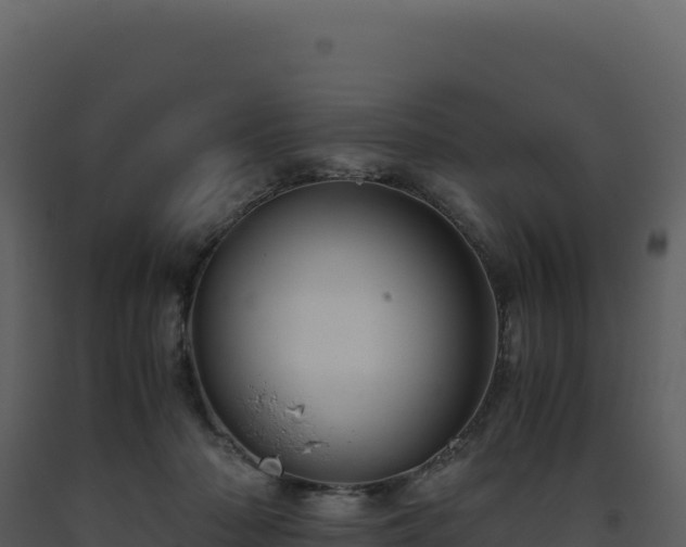 X0000093490318200710191233