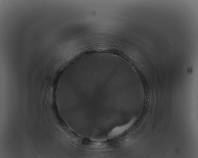 X0000093490319200710191232