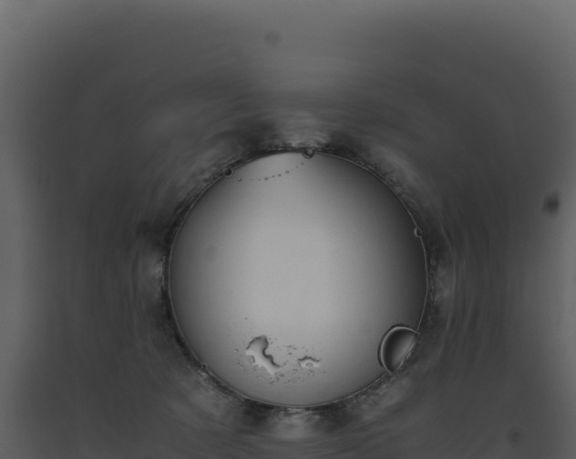 X0000093490321200710191232