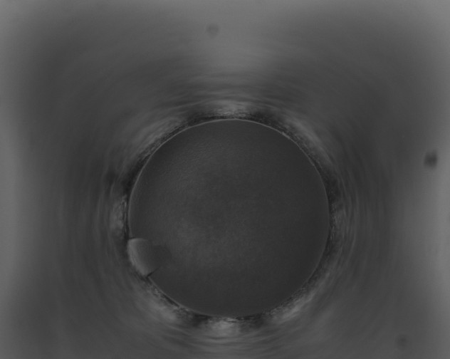 X0000093490325200710191232