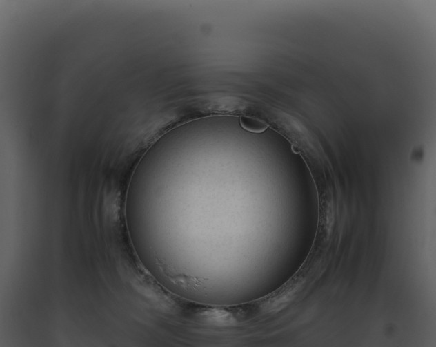 X0000093490326200710191232