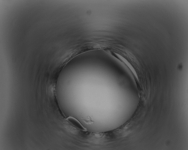 X0000093490329200710191232