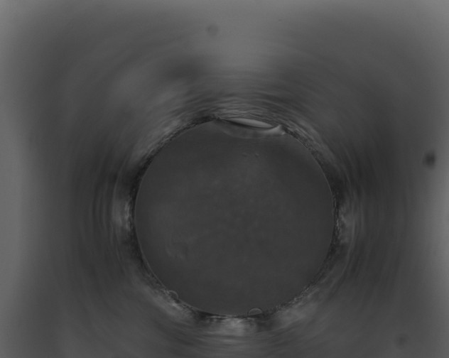 X0000093490330200710191232