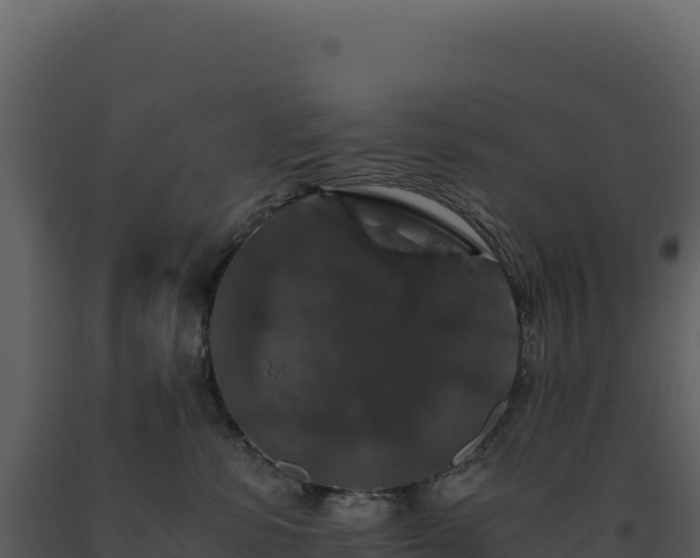 X0000093490331200710191232