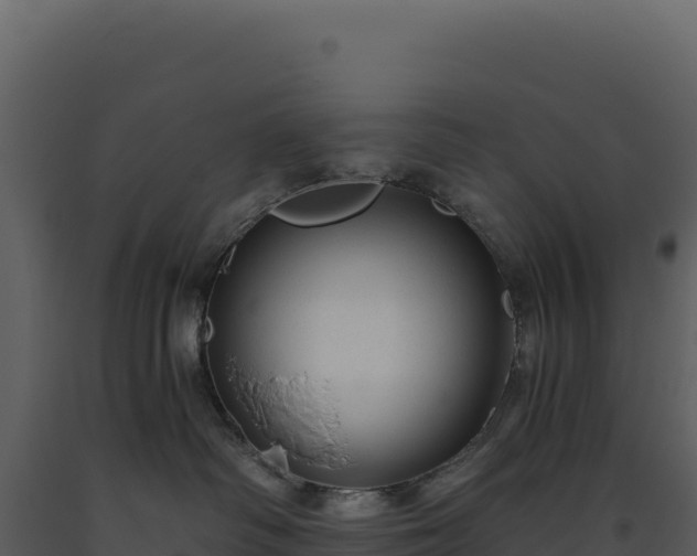 X0000093490334200710191232