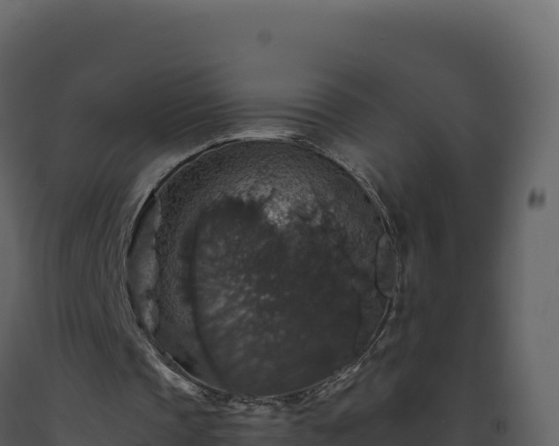 X0000093490337200710191232