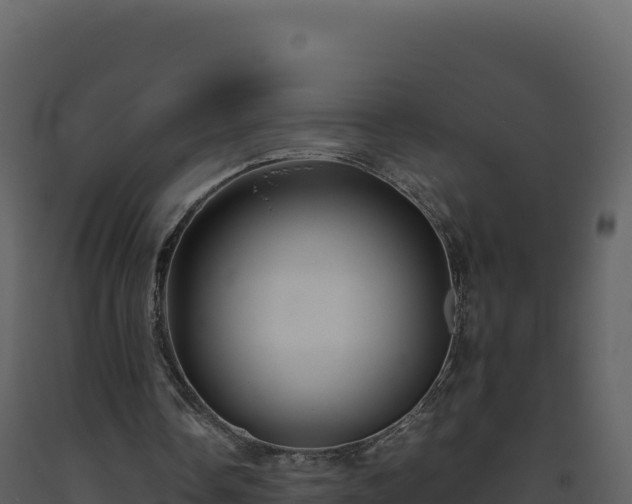 X0000093490338200710191232