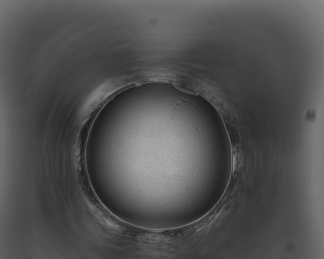 X0000093490339200710191232