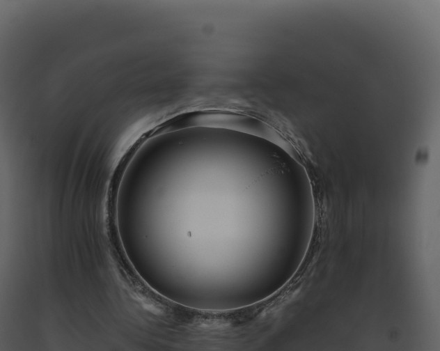 X0000093490340200710191232