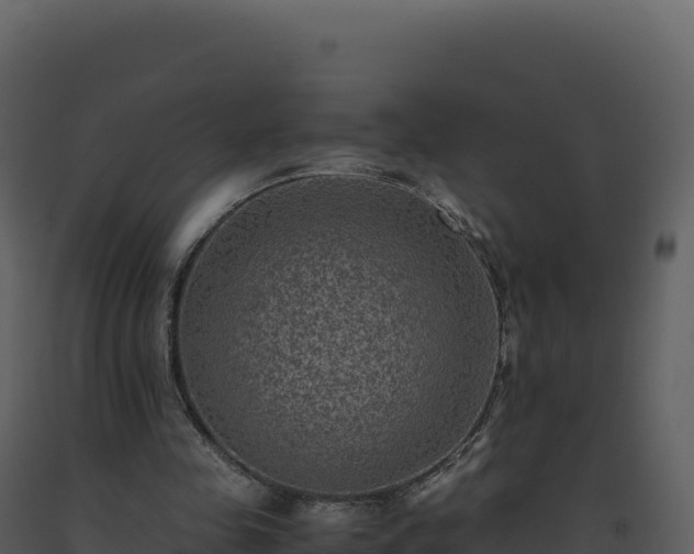 X0000093490341200710191232