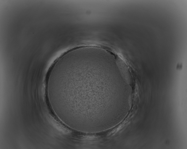 X0000093490342200710191232