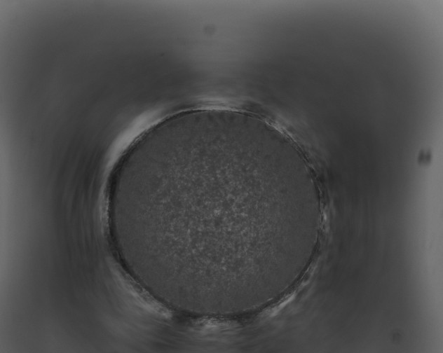 X0000093490343200710191232